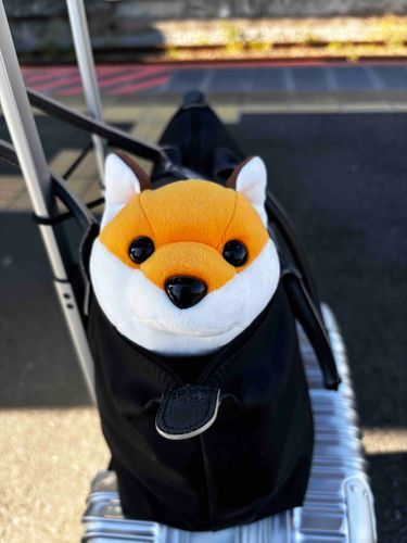 ずいこう おいなり です
おかお ぴょこんと してみました