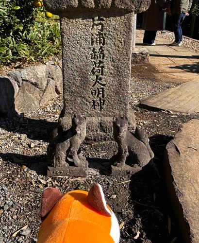 かたうら いなり だいみょうじん
おしごと がんばってる きつねなかまに あいさつ しました