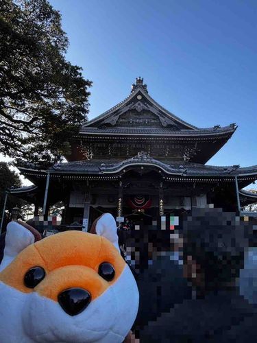 とよかわ いなり だいにんき です