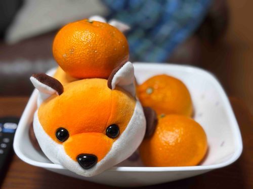 おいなり おみかん だったのかも しれません