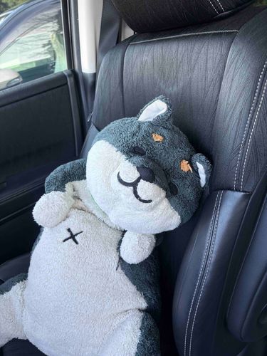 きょうの わん おるすわん じゃないの
おでかけ いぬちゃ なの