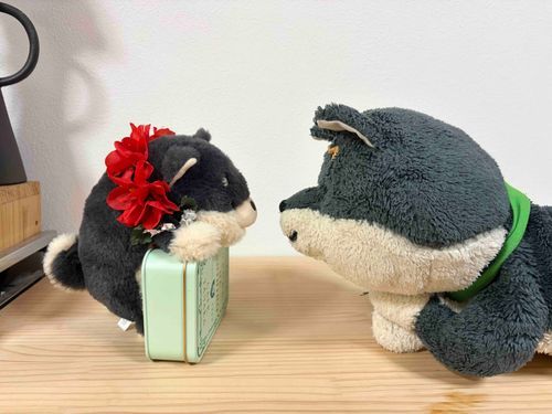 くろみつ わんと おはなし しよ
そんでね くろみつの もってる おかし いっしょに たべよ