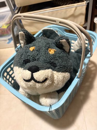 かごいり いぬちゃん
わん ぎっしりで かわいいね