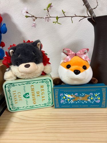 おいなりです
くろみつと おはなみ しました
ケーキやさんでもらった さくらいろの リボンが にあってしまいます