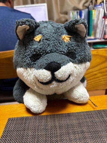 わんが いるからね
かみなり こわくないよ
ぷるぷる しちゃってなんて ないよ