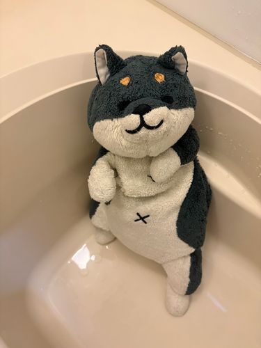 わん あらうの？
かわいいのに？