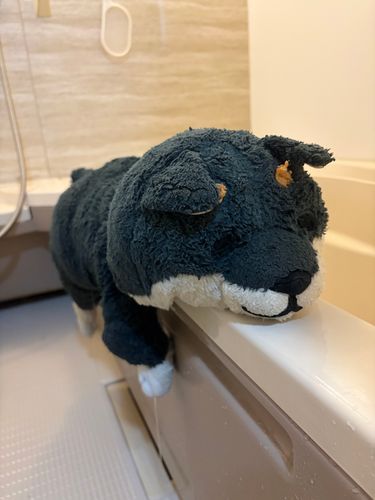 へろへろいぬちゃん