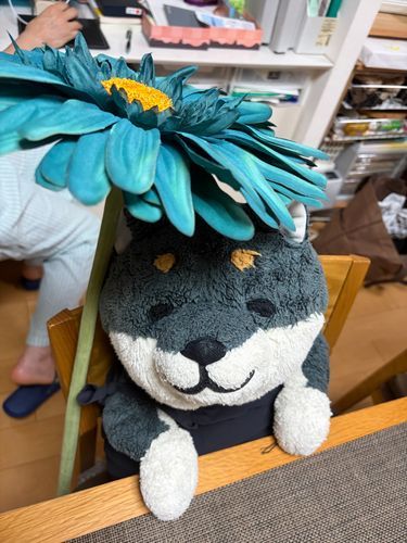 おっきい おはな もらったの