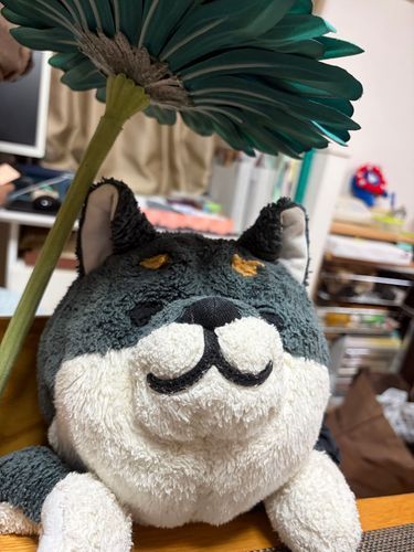 おはな かさみたい☂️