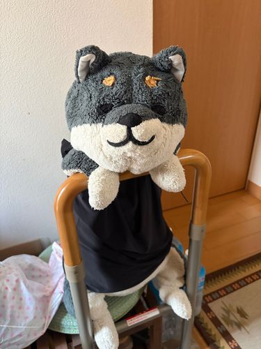 きょうはね げんかんで みんなを まってて おかえりって いってあげるの
わんが いない おそとで おしごとして みんな さみしいと おもうからね