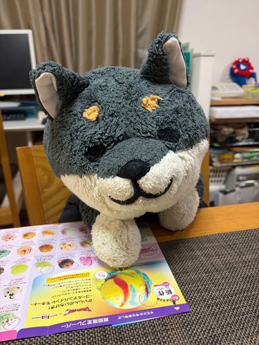 わん これがいい