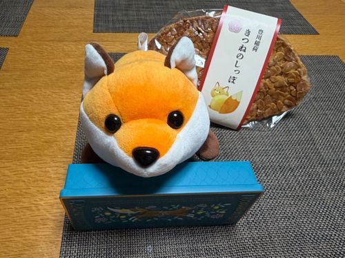 おいなりの しっぽ おおきく なりました🦊