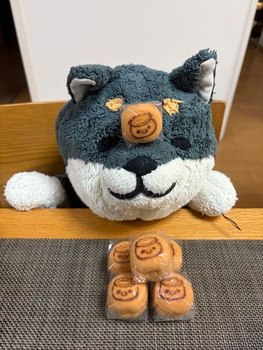 おかあさんの おともだち かっぱちゃ いっぱい くれた
わんのこと だいすきなんだと おもう