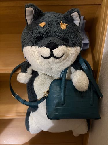 わんの バッグ みせてあげる
なかはね ミルクあめ いっぱい いれてほしい
キャラメルでも いいよ