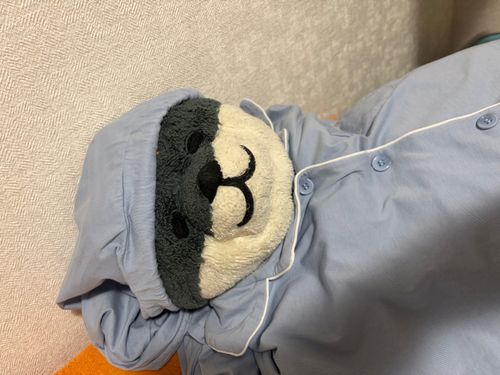 パジャマ きた ねむねむ わん
いいゆめ みちゃおっかな