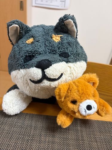 いなりん もふもふで かわいいこ
カメラは まだ にがてなのかも