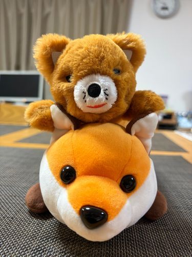 おんぶして あげたら こころを ひらいて くれました
なかよくしようね