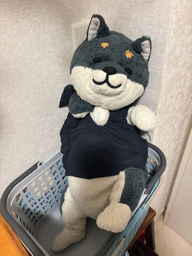 おせんたく かごで かっこいい ポーズ しちゃう わん