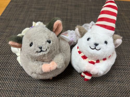 おばけねずみ のねずみにも なれます
にど かわいい ですよね
おやつ 2こ ください