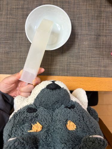 わん くずきり おすよ