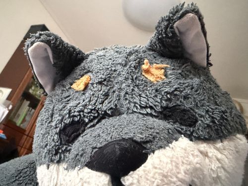 おはよ あさだよ おきた？