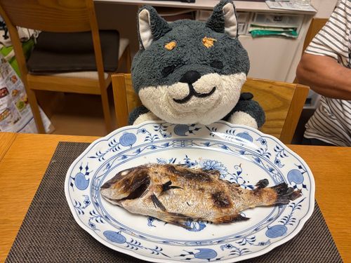 おっきい おさかな
どこ がぶって しよかな