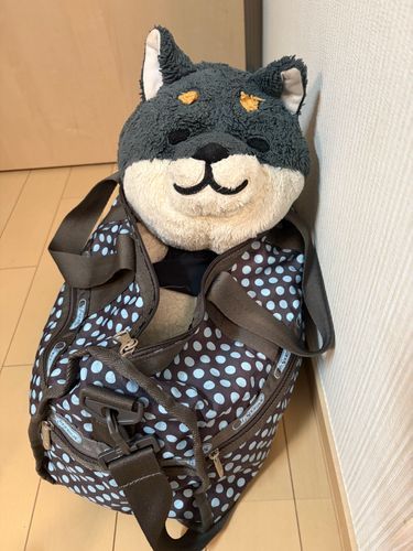 おでかけ するって いってた
わんも じゅんび するよ