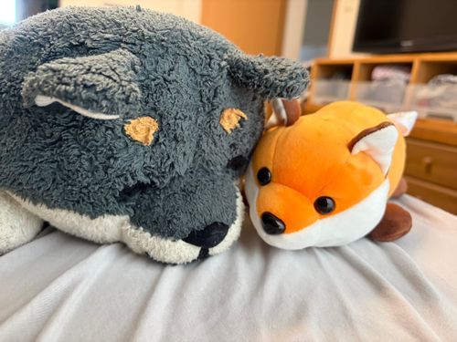 あめだから おでかけ おいなりに こうたいって いわれた
おいなり ばっかり ずるい
わん おふとん ぐちゃぐちゃに しちゃおっかな……