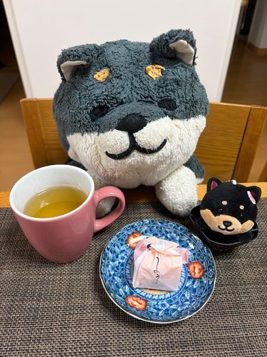 とやまけんの おみやげ うめが はいった おまんじゅう たべたよ
とやまブラックラーメンの くろしばが ついてきちゃった
なかよしの しるしに ひとくち あげる