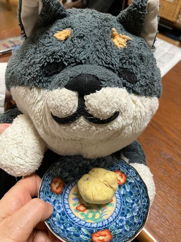 わんの くりきんとん だからね
みせて あげてる だけだよ
ね もってっちゃ だめだよ