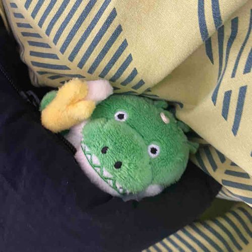 わにおと申します。
よろしくお願いします🫡