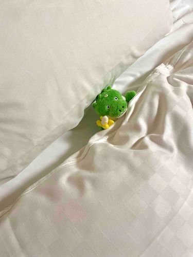まくら高い🫤