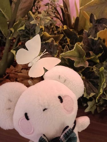 ふわもこSNS の みなさん、はじめまちて！チュウくんでちゅ。おもに Xで かつどう しているので こっちには あまり こないかもでちゅが、よろしくでちゅ🐭