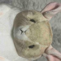 ずぬん