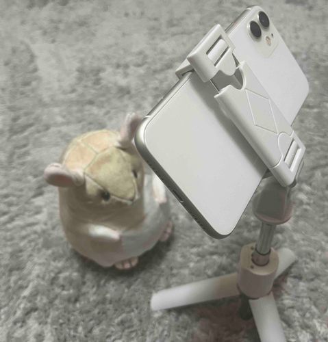 じどり