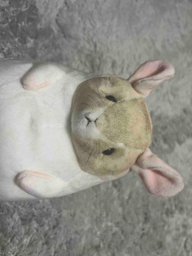 あんま うまく とれなかった〜