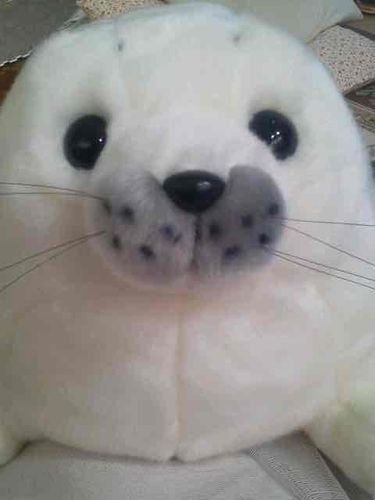ふわふわしてるの大好き