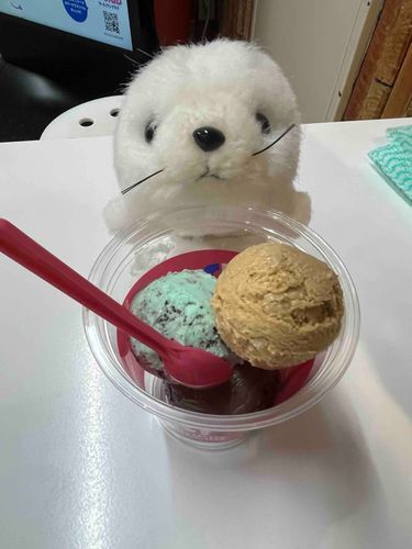新しい子をお迎え!
名前は ぷ です!