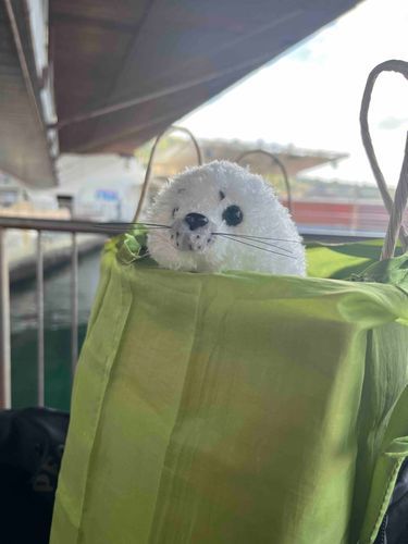 三津シーパラダイスにてお迎え