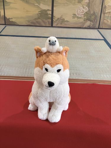 遊んでくれた(秋田県より)