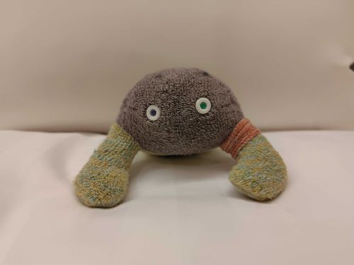 はじめましてクツシタ人です