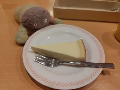 またチーズケーキ食べるの!?