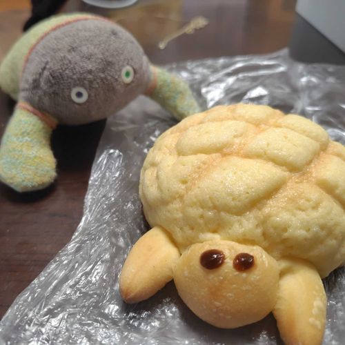 かめぱん🐢!!