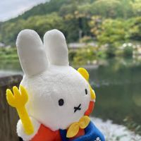 ごはーん