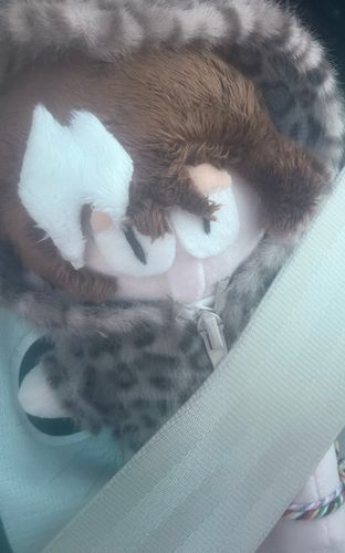お前もシートベルトをしろ
