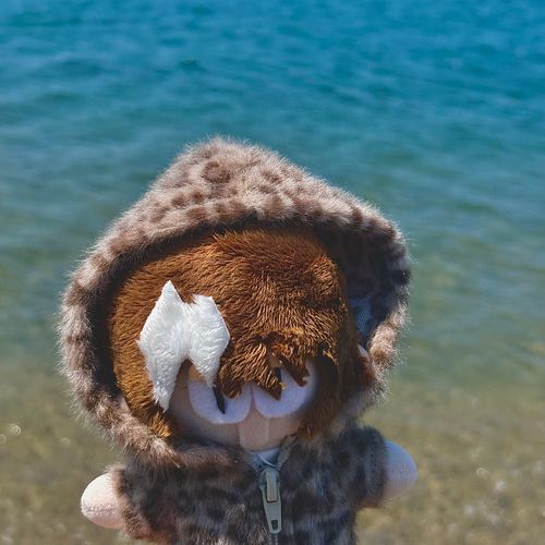 おい 海だね