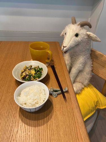 朝ごはん！