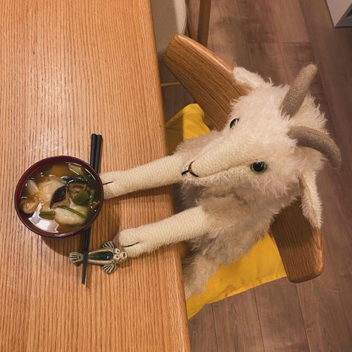 お正月にお雑煮を食べてたときの写真だよ〜。