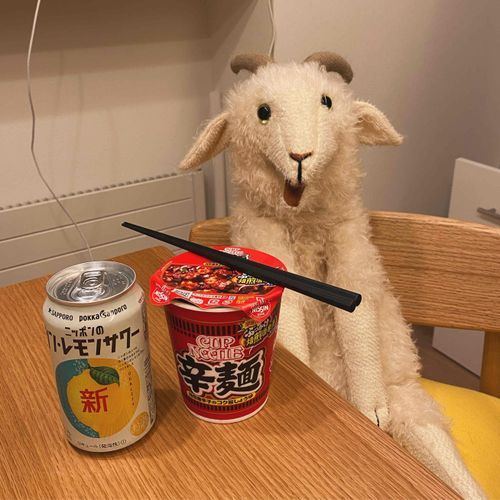 お昼から飲んじゃお！