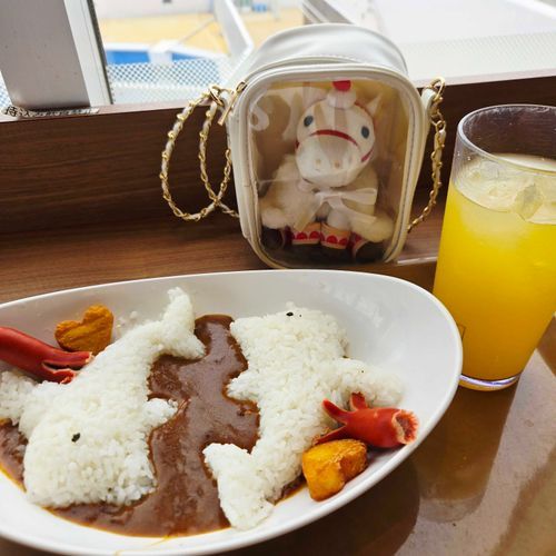 いるかさんの かれー🐬🍛